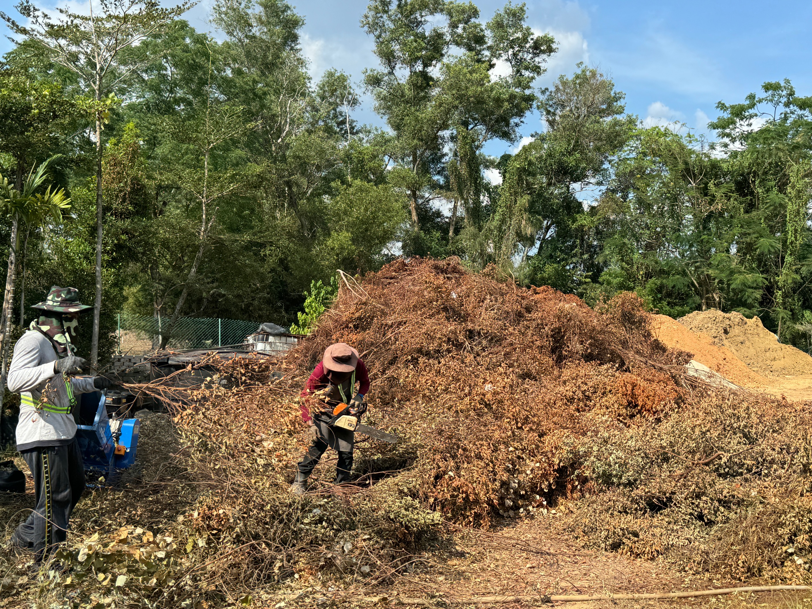 Branches are broken down with a woodchipper to speed up the composting process. 